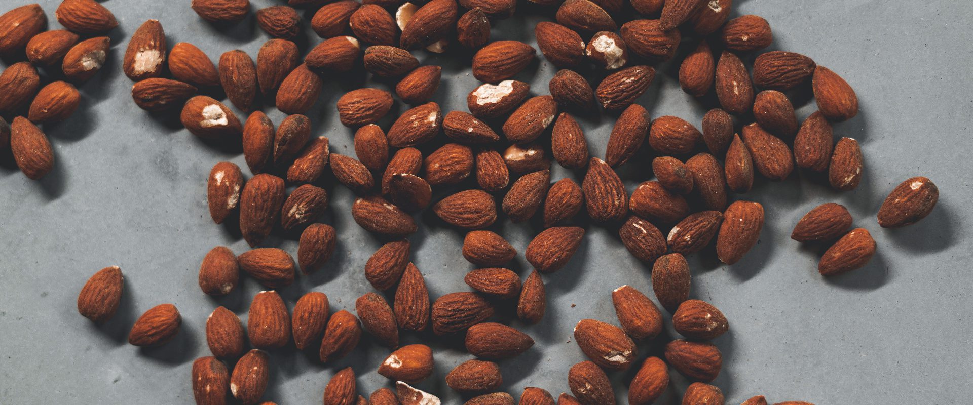 WEnutbutter Best almond butter machine Worldwide shipping