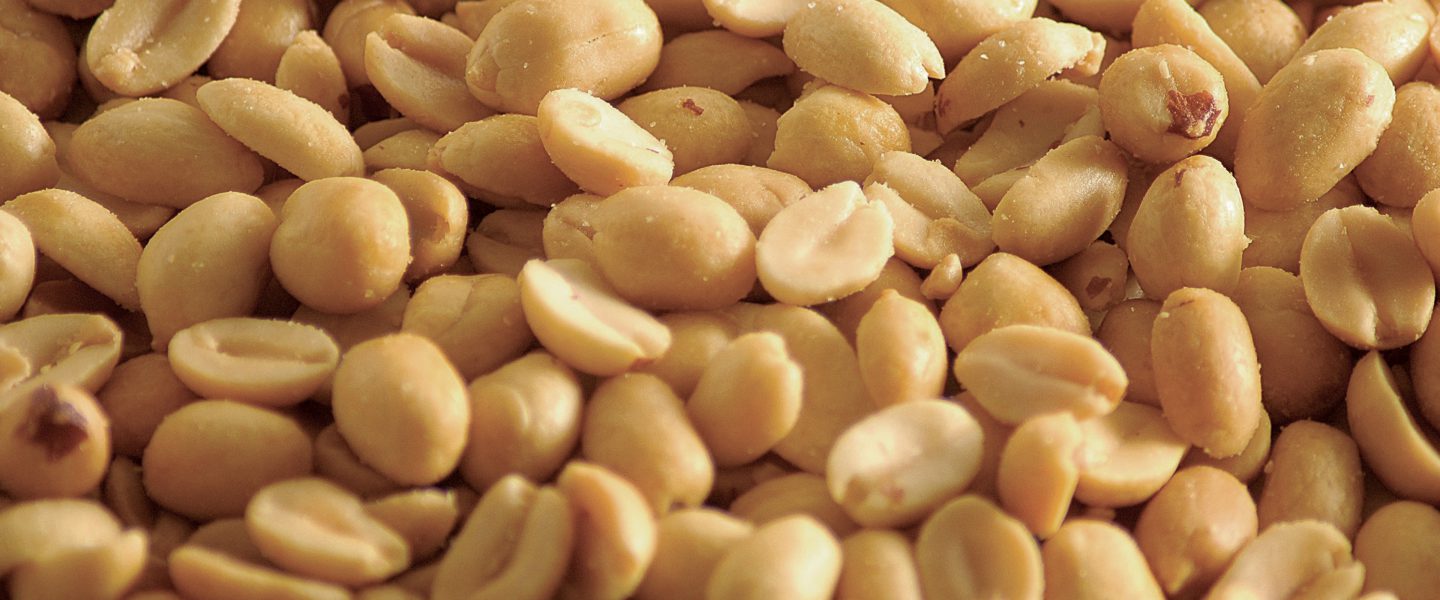 WEnutbutter | Best nut butter machine | Worldwide shipping