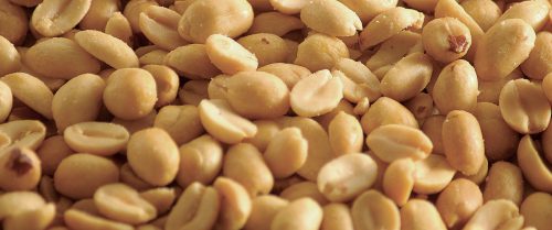 Peanuts for the world's best nut butter machine by WEnutbutter